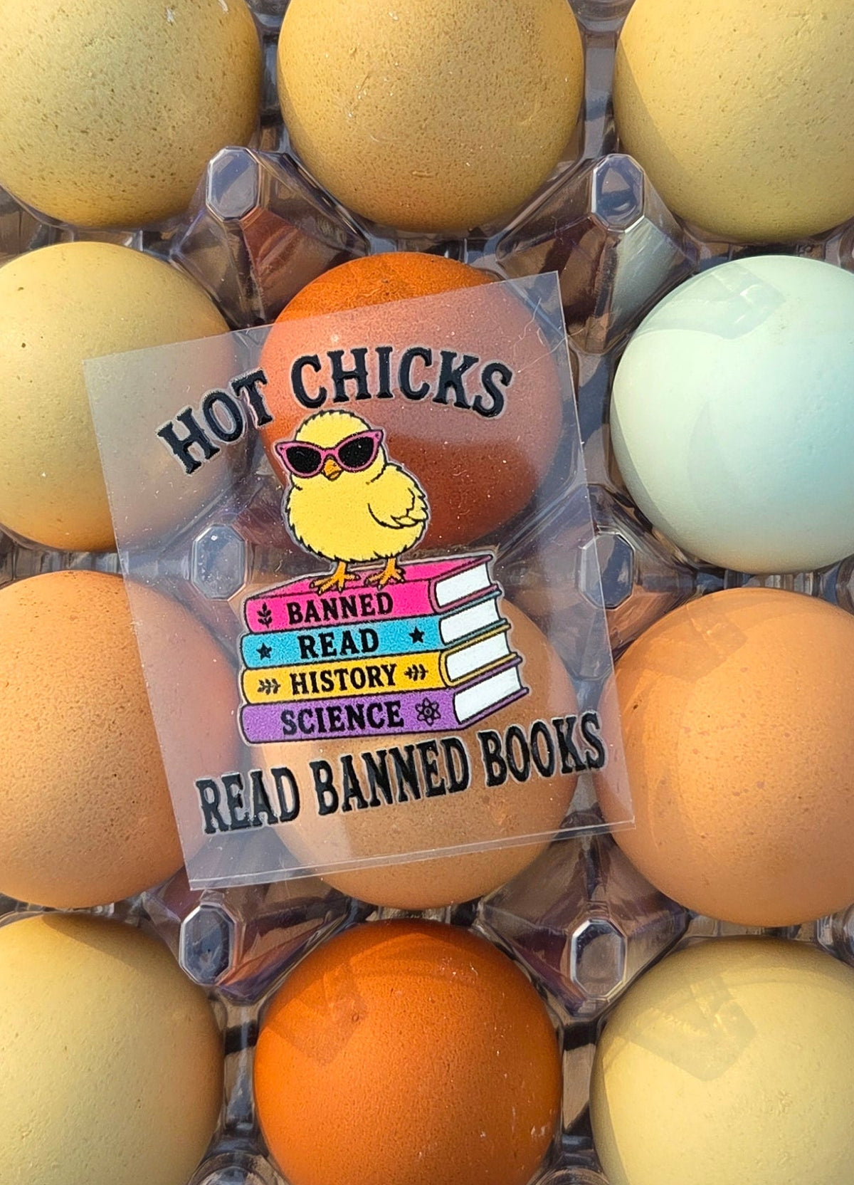 Hot Chicks Read Banned Books Sticker | Chicken Book Decal