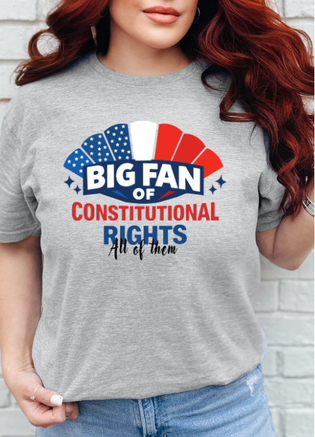 Big Fan of Constitutional Rights All of Them Shirt | Statement Tee